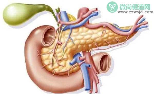 胰腺癌可以预防吗？三大预防胰