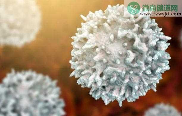 乙型流感病毒如何预防？流感痊愈后需提防新型的流感病