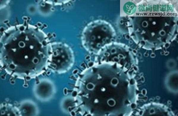流感病毒是逆转录病毒吗？流感