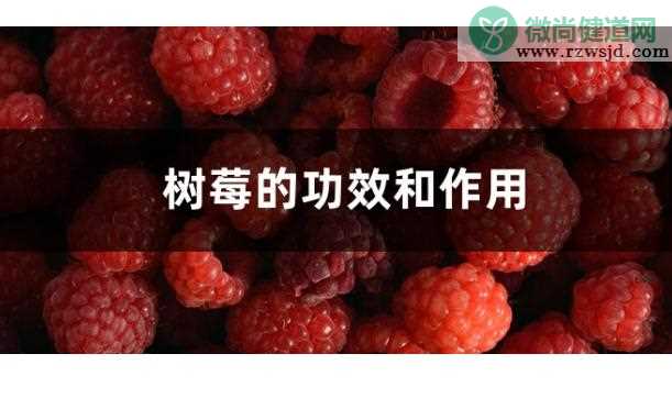 树莓的功效与作用有哪些？黑树莓有哪些食用禁忌？