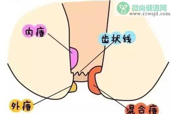 蛤蟆草治疗痔疮吗 马齿苋治