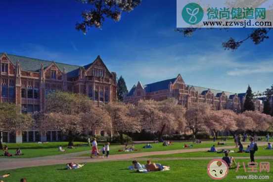 填志愿专业和学校排名哪个更重要 选大学应该看重什么