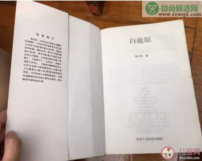 盗版书重金属含量高可能会影