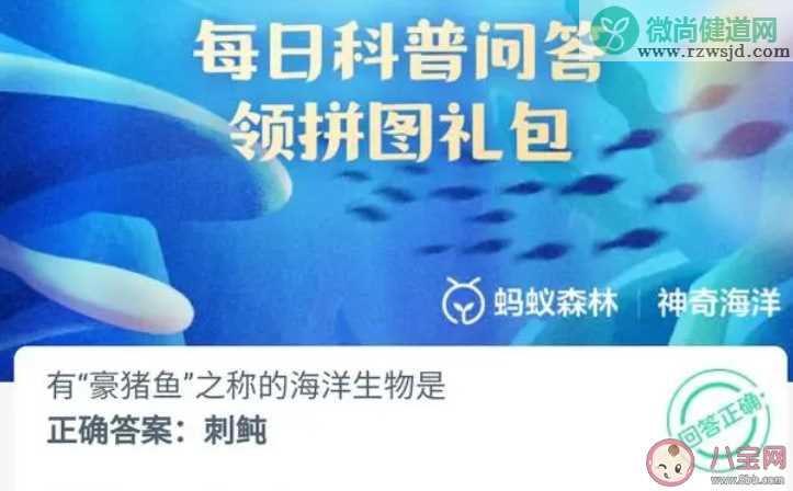 有豪猪鱼之称的海洋生物是什