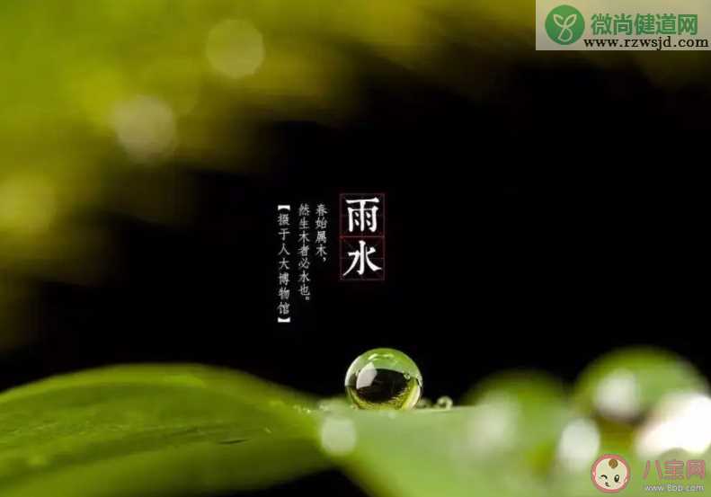 以下哪一项是雨水节气的物候特点 蚂蚁庄园2月19日答案