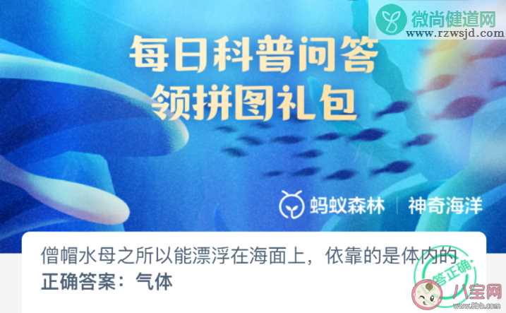 僧帽水母之所以能漂浮在海面