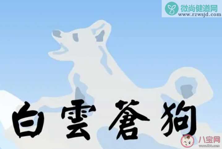 成语白云苍狗的典故与哪位诗人有关 蚂蚁庄园2月25日答案