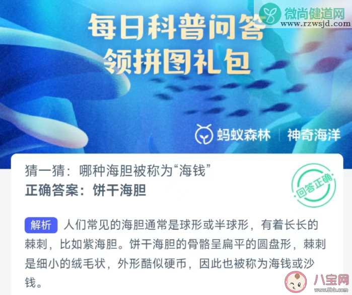 哪种海胆被称为海钱 蚂蚁庄园2月29日答案