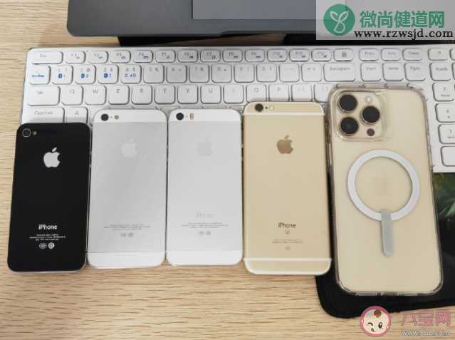 iPhone 6S包装盒上是什么鱼 iPhone 6S为什么停产了