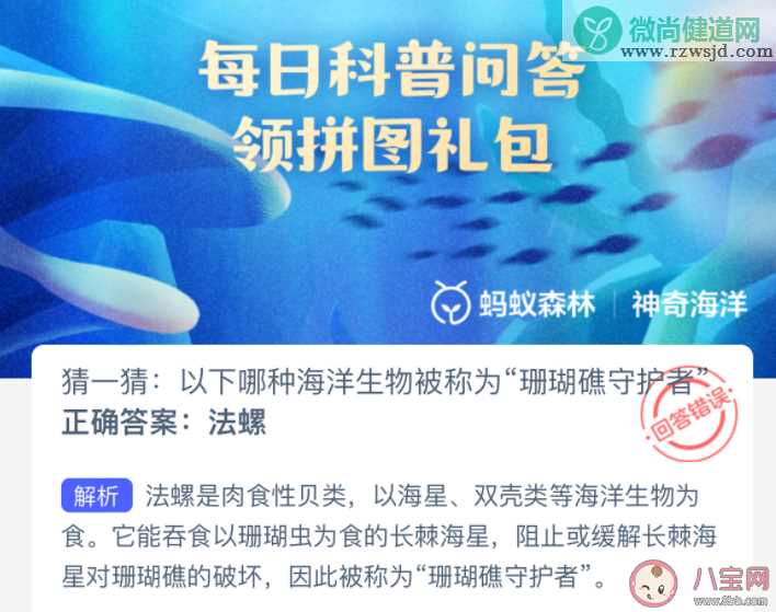 以下哪种海洋生物被称为珊瑚礁守护者 神奇海洋3月25