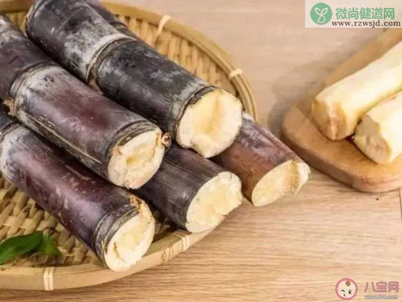 清明前后以下哪种食物存在霉变风险食用须谨慎 蚂蚁庄园4月4日答案