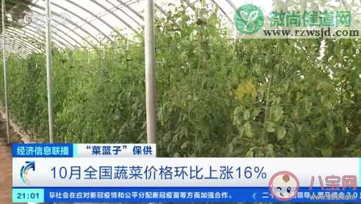 10月蔬菜价格上涨近2成 吃不