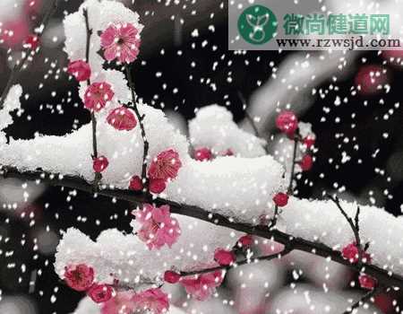 2021今日大雪动态图片祝福语句子大全 2021今日大雪的朋友圈祝福语说说