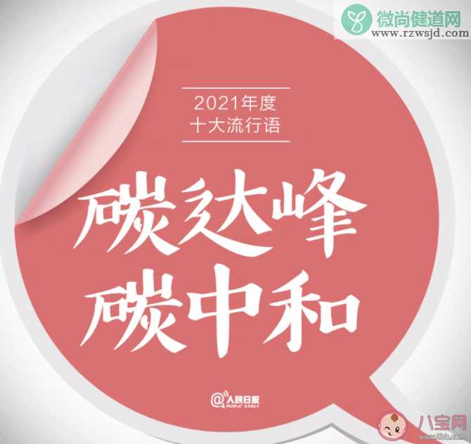 咬文嚼字2021年度十大流行语是什么 2021年度十大流行语内容盘点