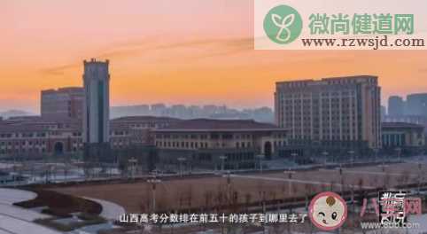 大学要为社会需求定制人才吗 大学应该培养怎样的人才