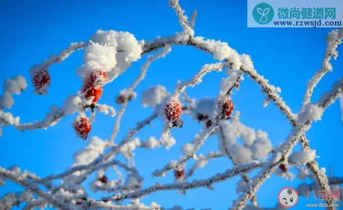 2022年第一场雪的朋友圈文案说说 2022年第一场雪的心情文案句子