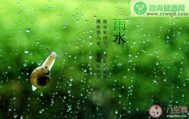 雨水节气下雨好不好 雨水节