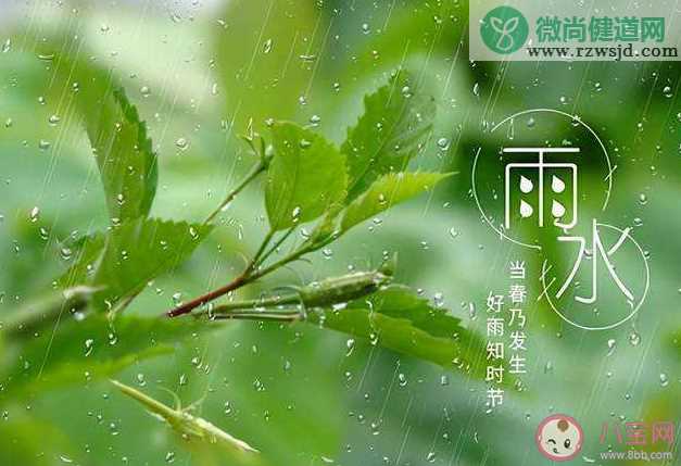 又是一年雨水节气的暖心说说2022 雨水节气温暖治愈文案句子2022