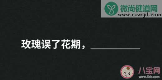 玫瑰误了花期下一句文案合集 玫瑰误了花期浪漫伤感