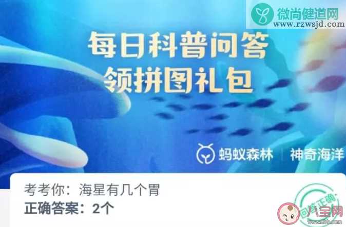 海星有几个胃 神奇海洋4月28