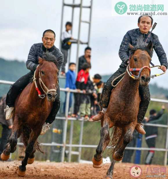 蚂蚁新村端节是水族最大的传统节日主要活动是什么 5月15日答案