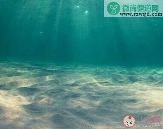 深海软泥主要由以下哪种物质构成 神奇海洋5月15日答案