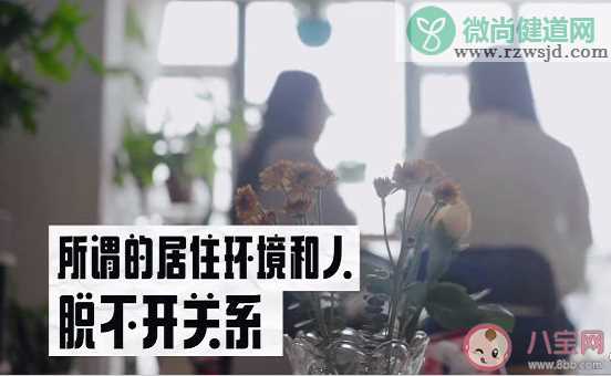 合租是选房子还是选室友 与