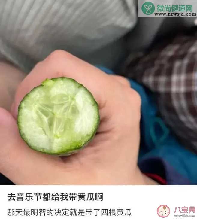 为什么去音乐节要带黄瓜 去音乐节要带哪些装备