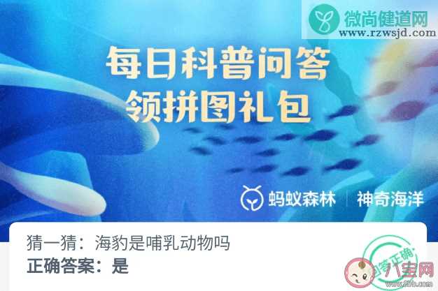 猜一猜海豹是哺乳动物吗 神奇海洋5月30日答案