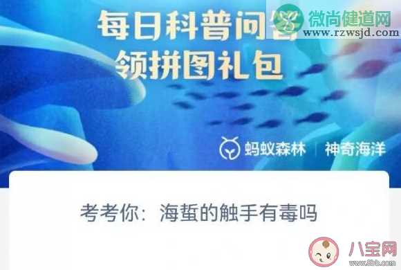 考考你海蜇的触手有毒吗 神奇海洋5月31日答案