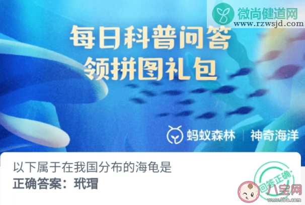 以下属于在我国分布的海龟是