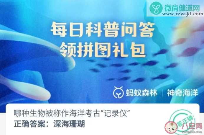 哪种生物被称作海洋考古记录