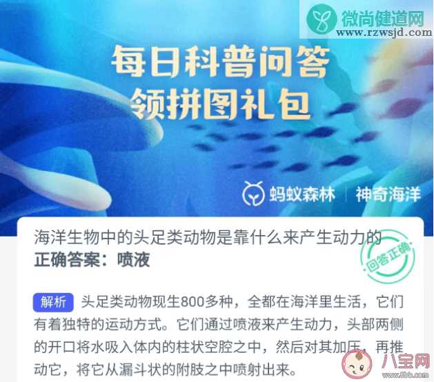 海洋生物中的头足类动物是靠什么来产生动力的 蚂蚁森林神奇海洋7月11日答案