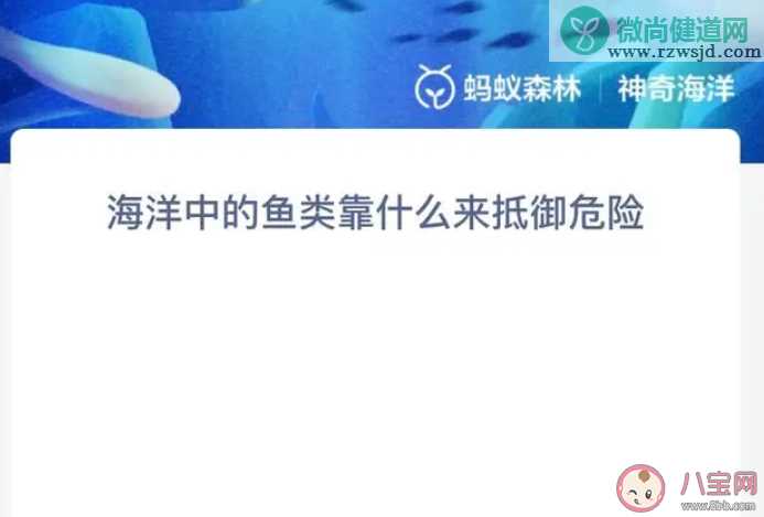 海洋中的鱼类靠什么来抵御危