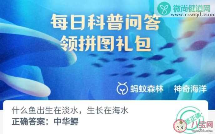 什么鱼出生在淡水生长在海水 神奇海洋7月19日答案