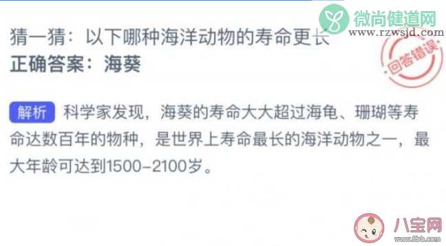 猜一猜以下哪种海洋动物的寿命更长 神奇海洋7月21日答案