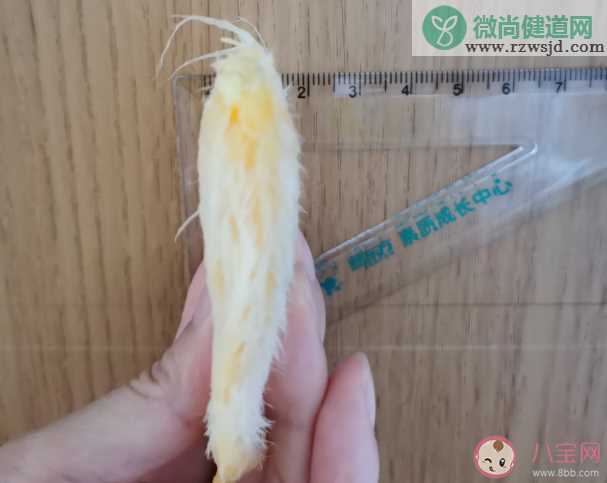 年轻人给芒果核梳毛被指不务正业 年轻人为什么喜欢给芒果核梳毛