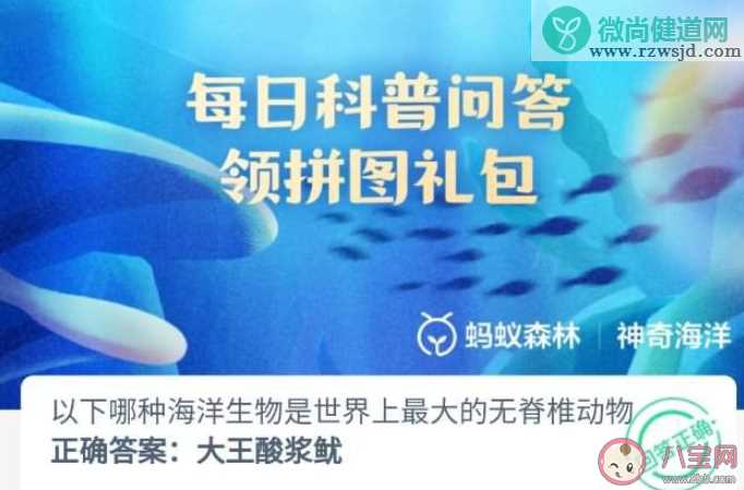 以下哪种海洋生物是世界上最