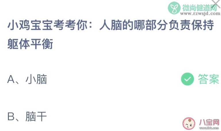 人脑的哪部分负责保持躯体平衡 蚂蚁庄园8月3日答案