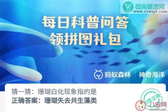 猜一猜珊瑚白化现象指的是什么 神奇海洋8月2日答案