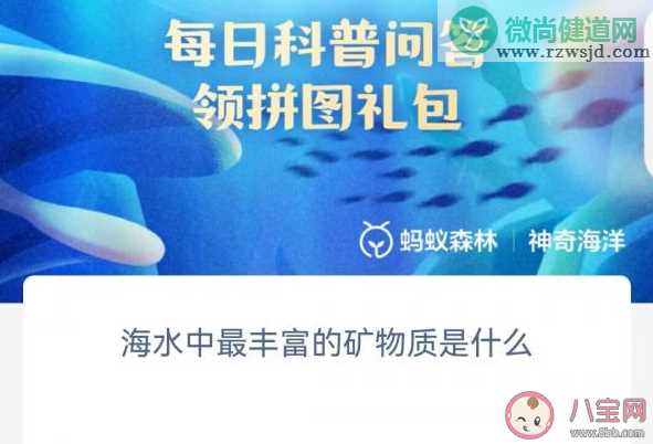 海水中最丰富的矿物质是什么