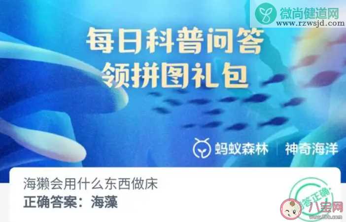 海獭会用什么东西做床 神奇