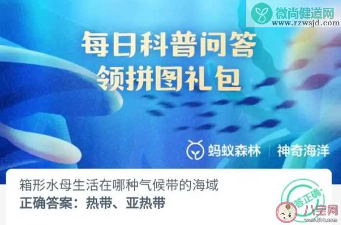 箱形水母生活在哪种气候带的