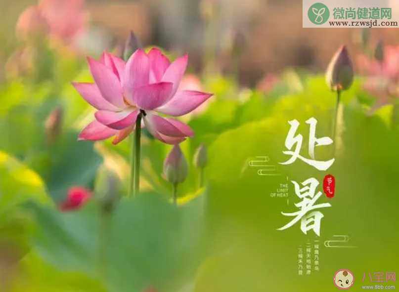 处暑节气通常在哪个季节 2023蚂蚁庄园8月23日答案