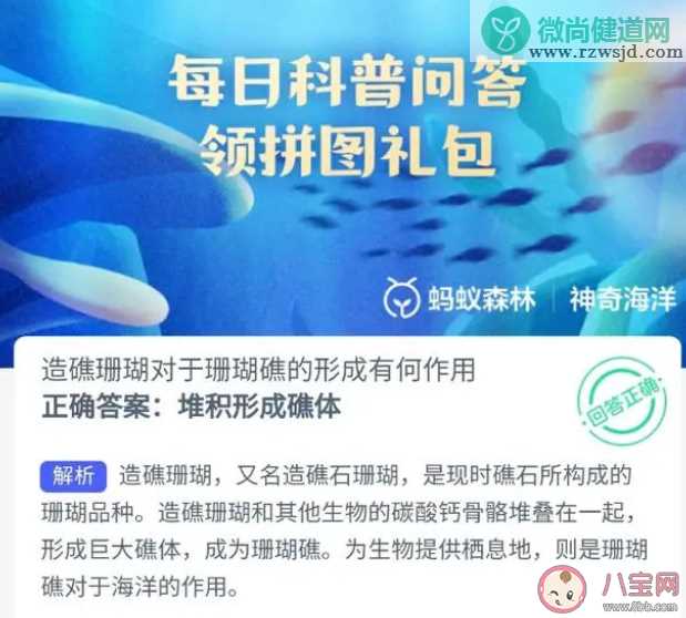 造礁珊瑚对于珊瑚礁的形成有何作用 蚂蚁庄园8月23日答案