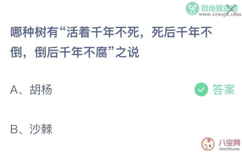 哪种树有活着千年不死死后千年不倒倒后千年不腐之说 蚂蚁庄园8月24日答案最新