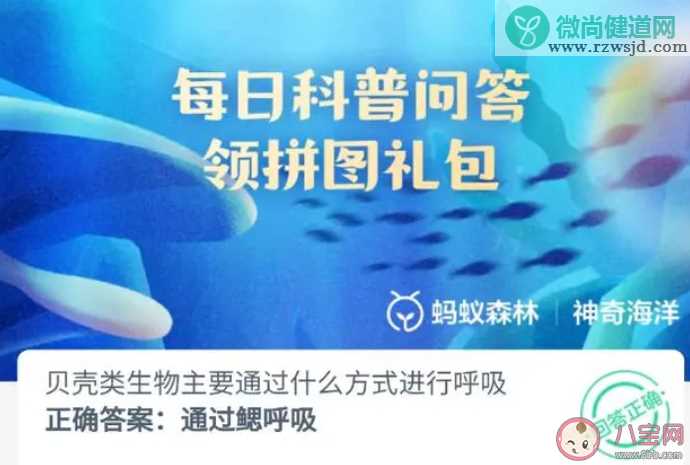 贝壳类生物主要通过什么方式