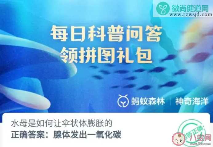 水母是如何让伞状体膨胀的 神奇海洋8月31日答案