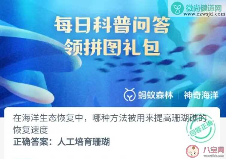 在海洋生态恢复中哪种方法被用来提高珊瑚礁的恢复速