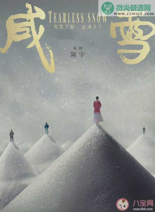 《咸雪》影视化备案 《咸雪》剧情梗概